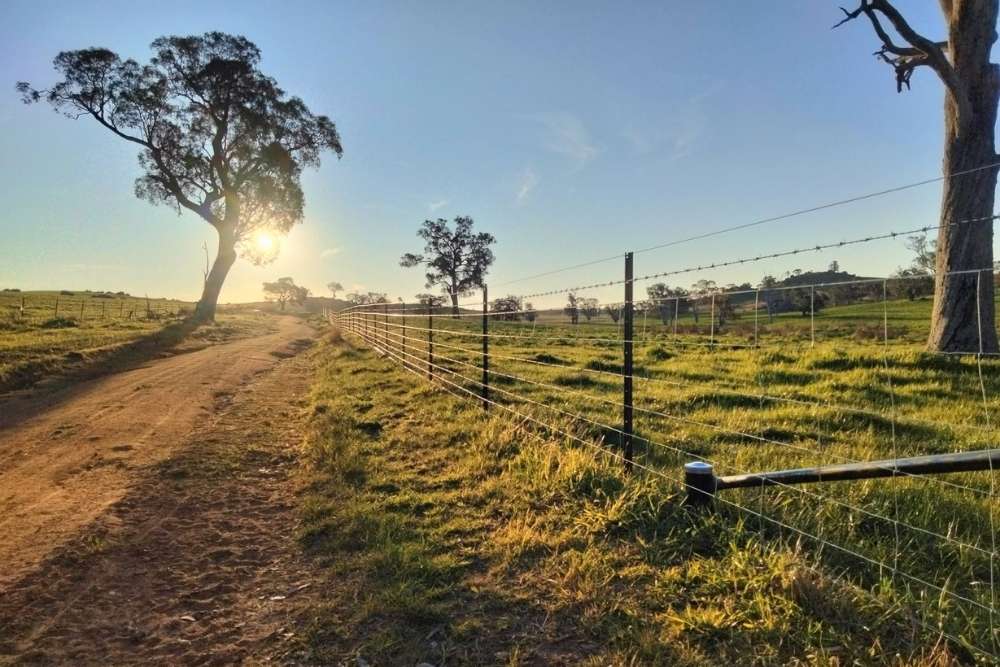 Wire livestock boundary fence line extending along a rural dirt road in open paddocks at sunset-